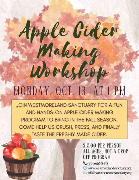Apple Cider Making Workshop